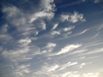 DSC05888.jpg